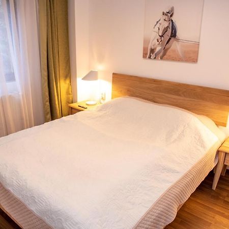Classic Apartment Near The City Center Клуж-Напока Екстериор снимка