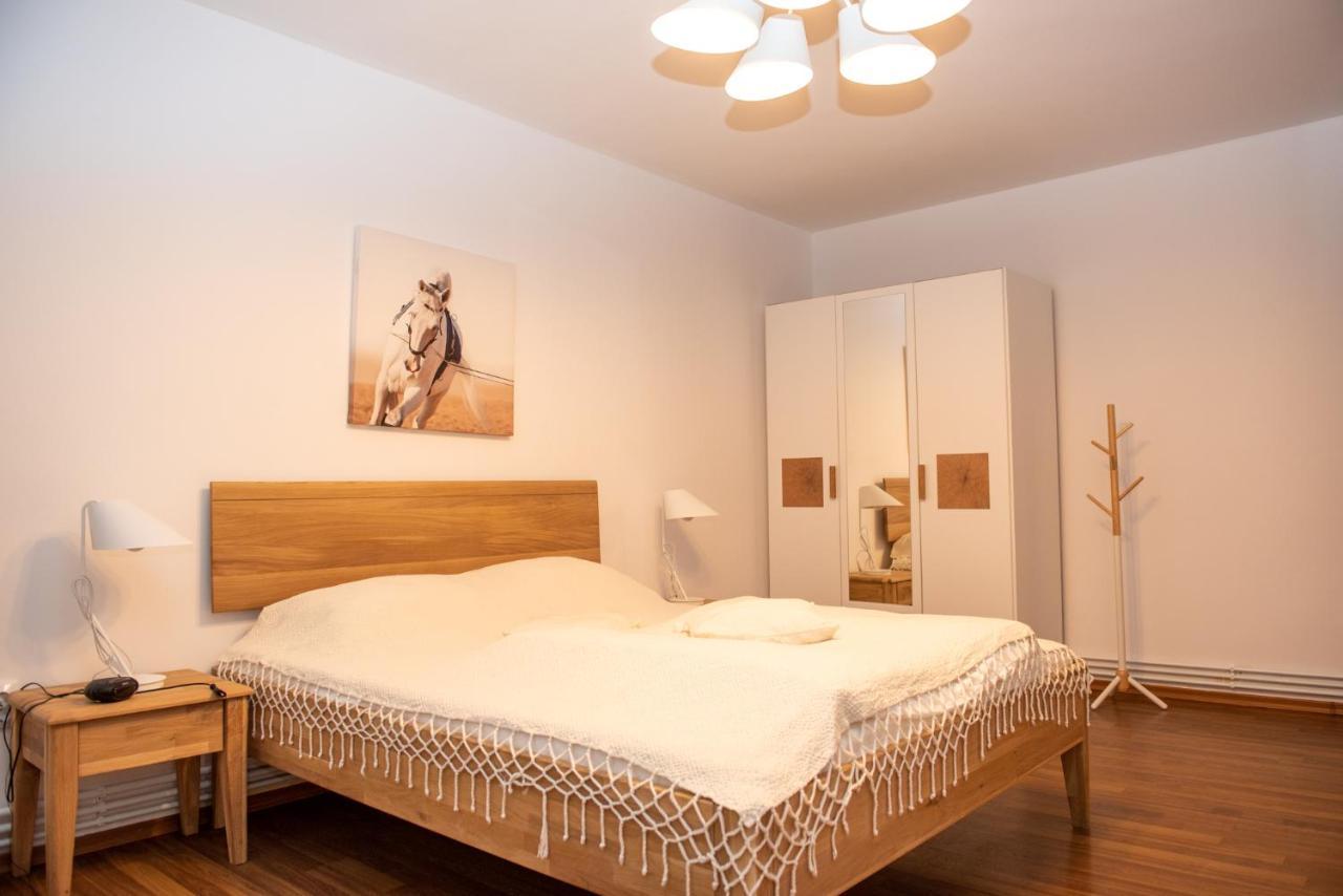 Classic Apartment Near The City Center Клуж-Напока Екстериор снимка
