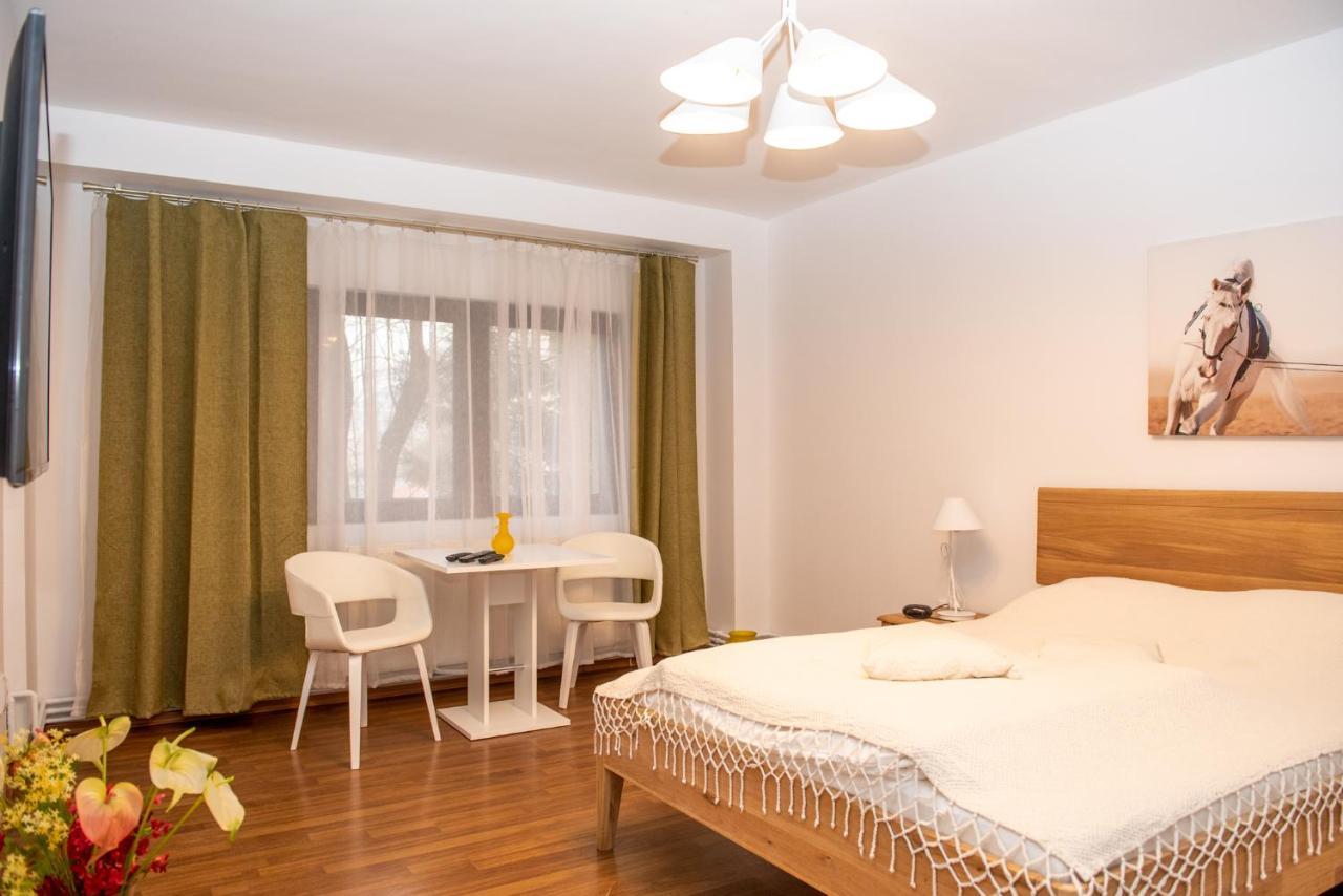 Classic Apartment Near The City Center Клуж-Напока Екстериор снимка