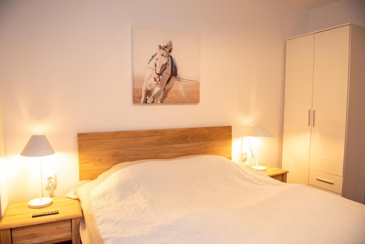 Classic Apartment Near The City Center Клуж-Напока Екстериор снимка