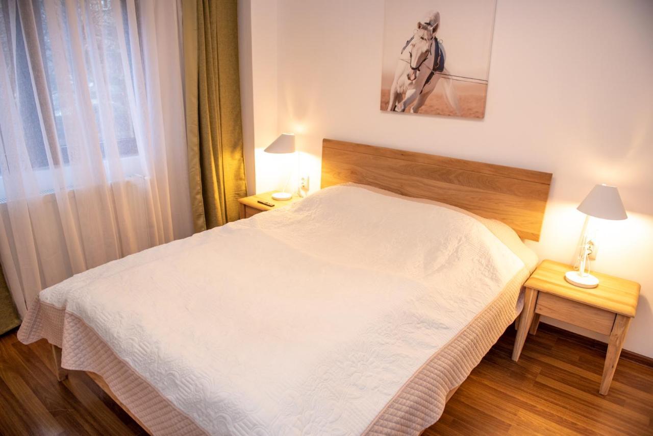 Classic Apartment Near The City Center Клуж-Напока Екстериор снимка