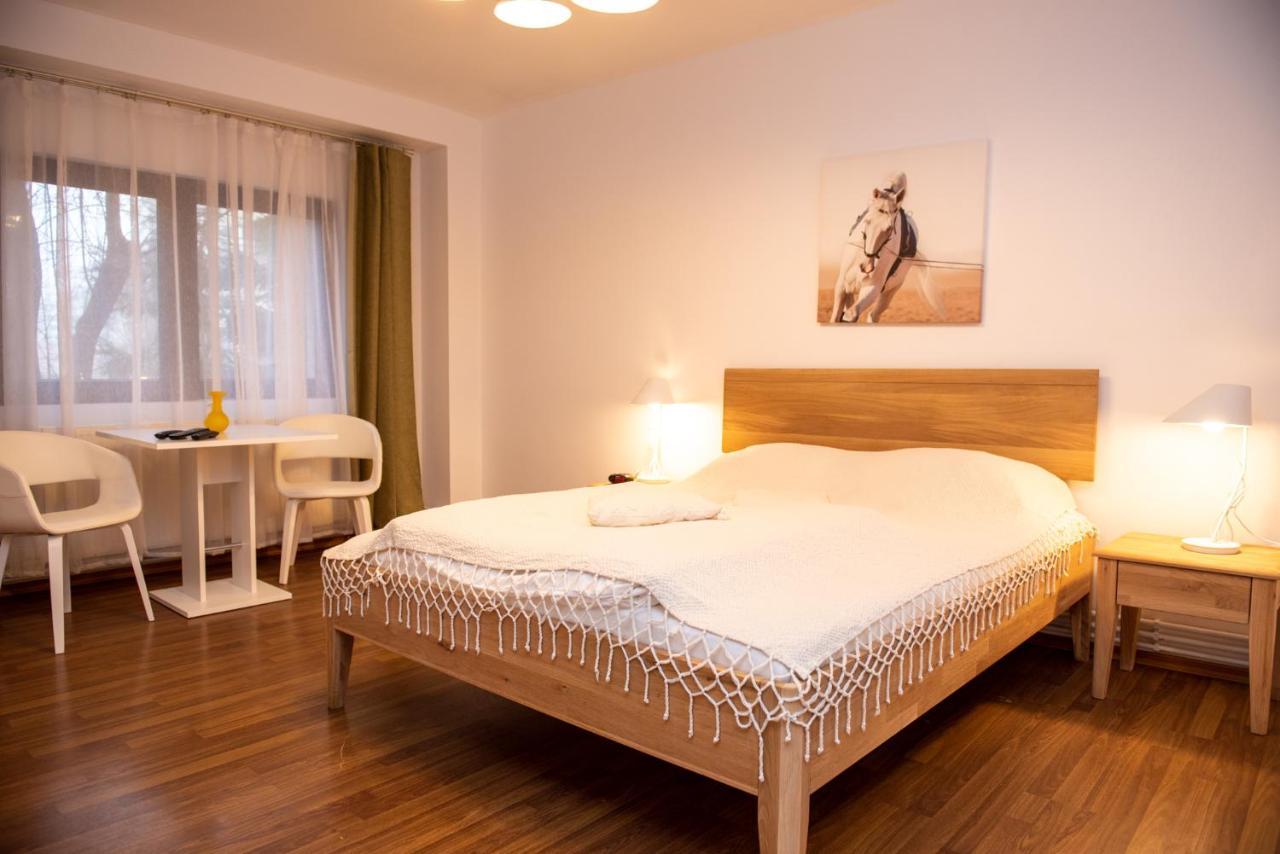 Classic Apartment Near The City Center Клуж-Напока Екстериор снимка